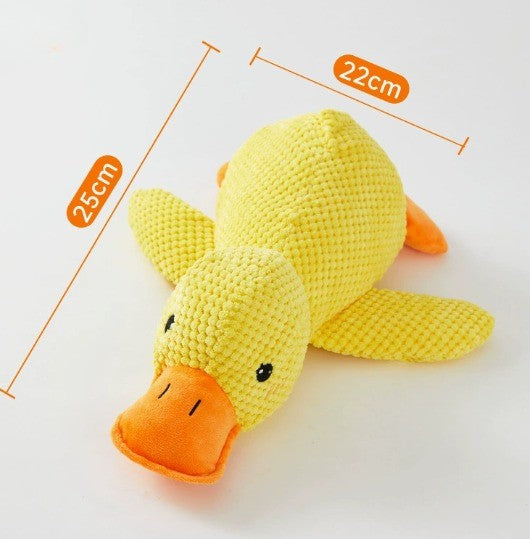 Duck Buddy