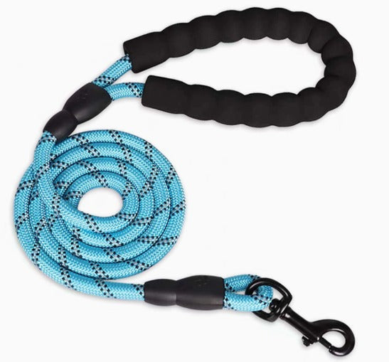 RopeWalk Leash