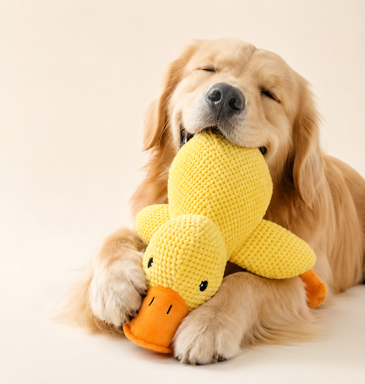 Duck Buddy
