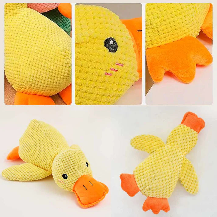 Duck Buddy