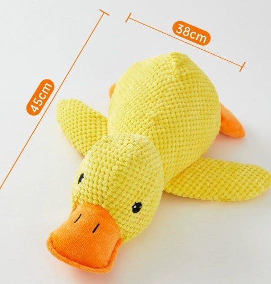 Duck Buddy