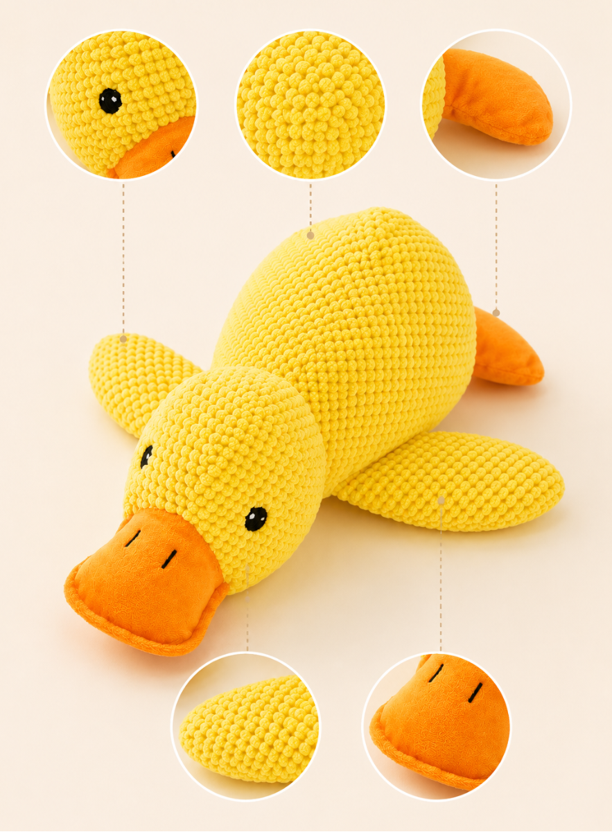 Duck Buddy