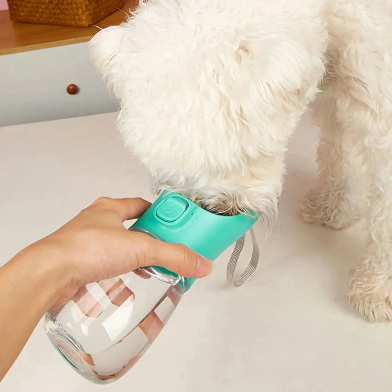 Walksy AquaPet